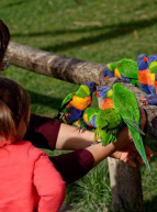 Pâques 2019 avec les enfants - Zoo de Bordeaux-Pessac