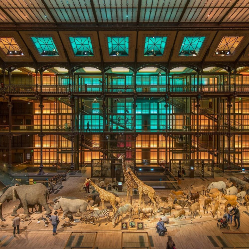 La Grande Galerie de l'Évolution du Muséum national d'histoire naturelle, poussette