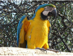 Parc zoologique de Fréjus