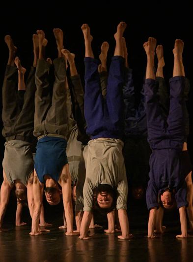 Le Complexe de l’Autruche - Cie du Courcirkoui