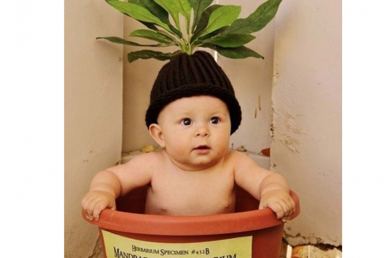 Halloween : des costumes adorables pour bébés - Mandragore Harry Potter