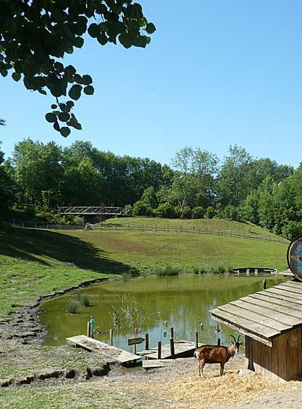 La Forêt des épouvantails