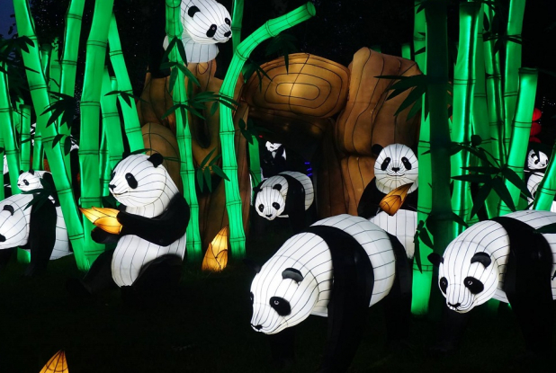 Festival des Lanternes - Féeries de Chine : panda
