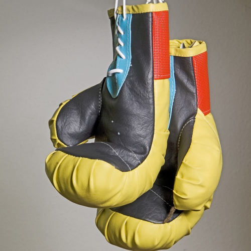 toulouse fight club 1