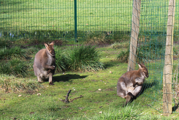 parc animalier molineau