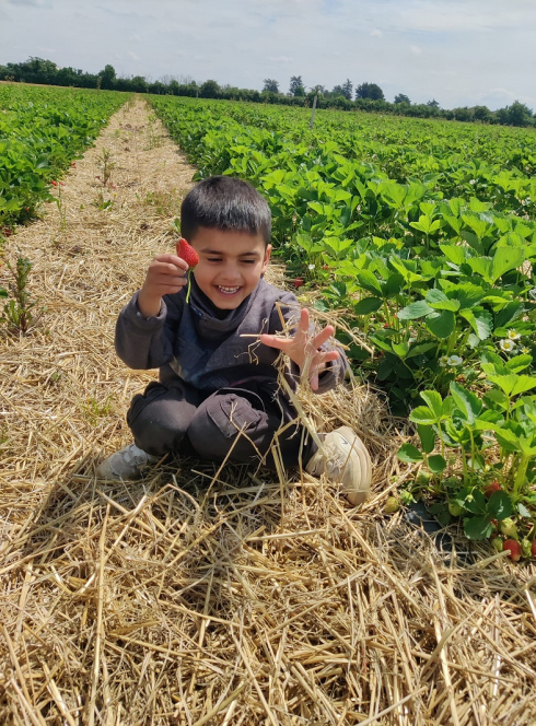 Aux jardins de Saisons