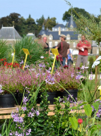 Festival Plantes et Saveurs au Potager