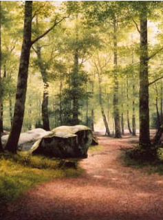 Forêt de Fontainebleau