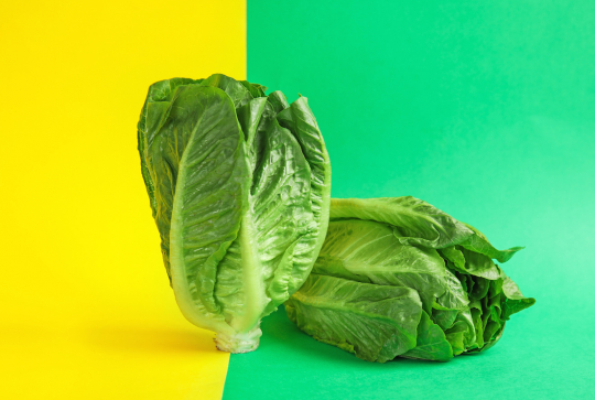 Expériences scientifiques ludiques à faire avec les enfants en cuisine : transformer les aliments en famille : chou