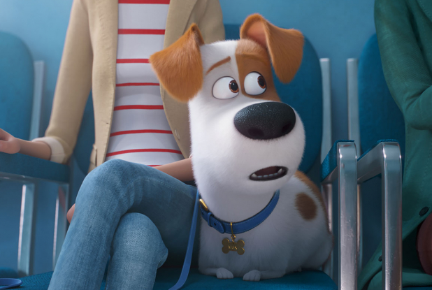 Comme des Bêtes 2 : première image