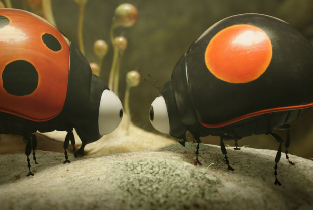 Minuscule 2 - Les Mandibules du bout du monde - Duel coccinelles