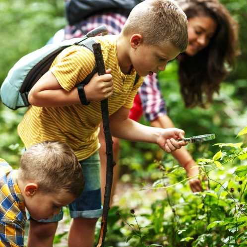 Activités nature pour les enfants