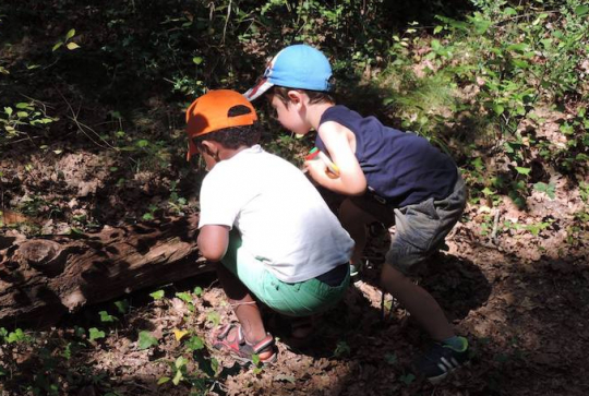 Écosite du Bourgailh : balade enfant en forêt près de Bordeaux