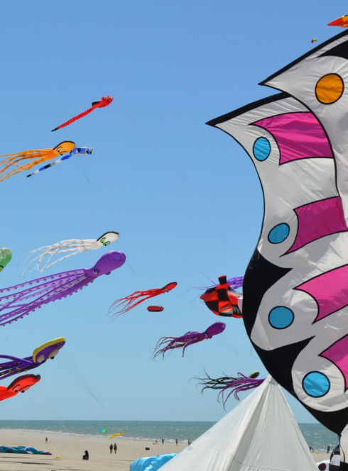 Festival À tout vent : ciel de cerfs-volants