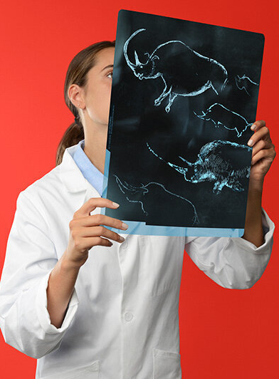 Expo Grotte Chauvet, l'aventure scientifique