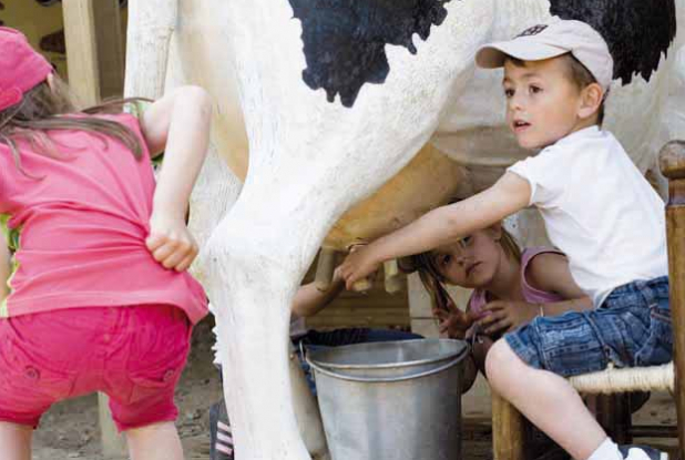 Safari Peaugres - la traite des vaches