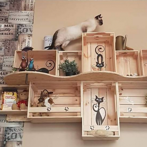 Un chat qui s'amuse à Chatperlipopette