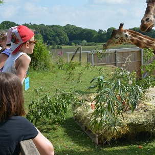 Parc animalier et botanique et Parcabout de Branféré