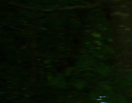 Ma Grand-Mère et moi 2014 23