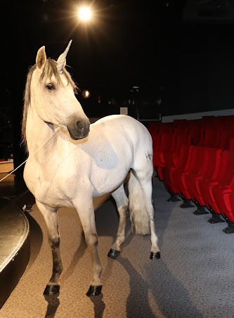 Théâtre de la licorne