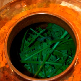 Les Plantes et leurs secrets - Villette