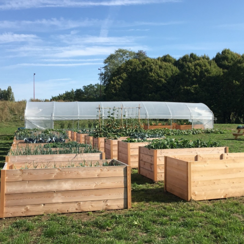 Ferme urbaine du Blosne à Rennes