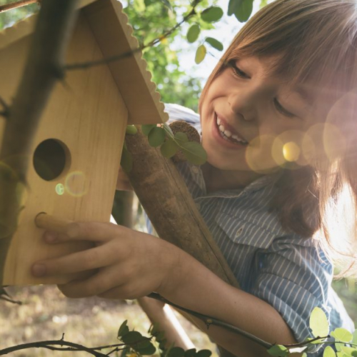 Fête des jardins au Bouscat : ruche