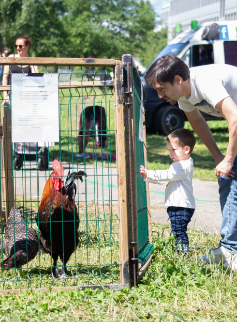 Ferme pédagogique aux 24 heures de l'INSA
