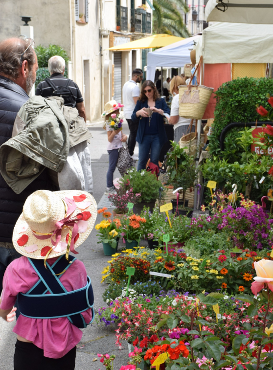 Autour de la rose : Flâner