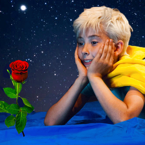 Le Petit Prince - Cie Théâtre du Pont Tournant