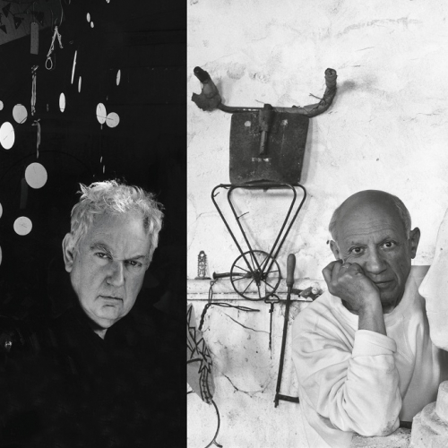 Expo Calder-Picasso 2019 Paris