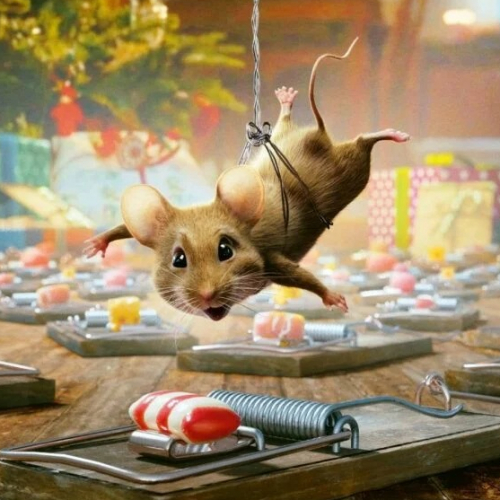 Panique à Noël : affiche