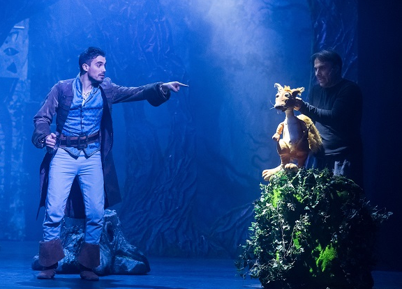 Raiponce et le prince aventurier - Guillaume Bauchède