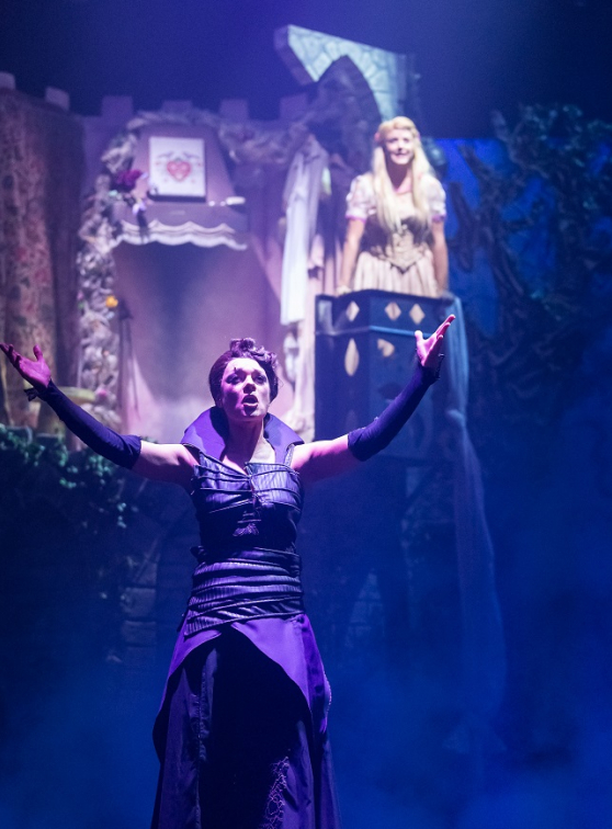 Raiponce et le prince aventurier - Guillaume Bauchède