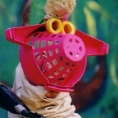 Un animal, des amis mots - Laurent Deschamps