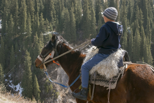 Balade à cheval pour enfants