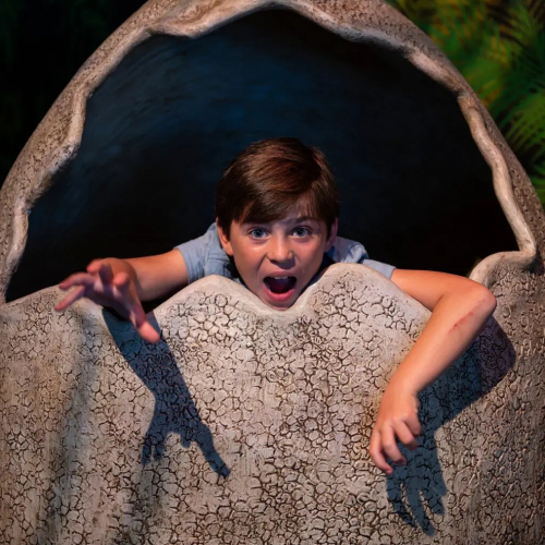 Expo Dinosaures - Ils sont là !