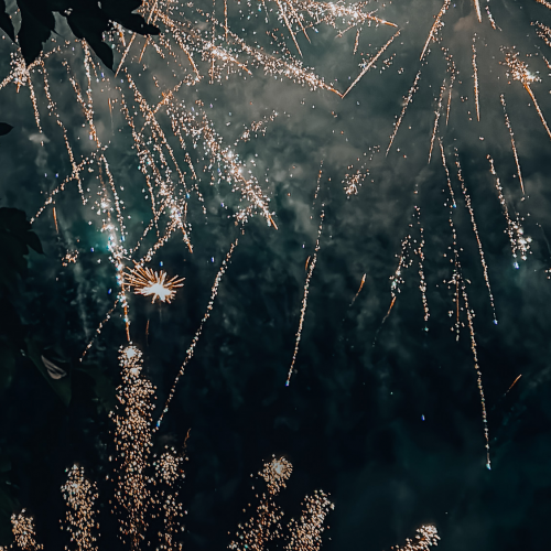 La Fête Nationale à Bourgoin-Jallieu : Feu d'artifice à la nuit tombée