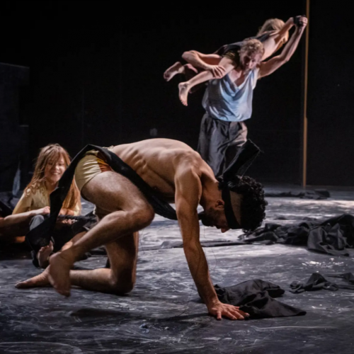 Spectacle de danse Promise me