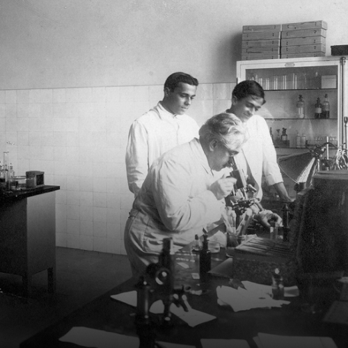 Exposition "Épidémies, prendre soin du vivant"