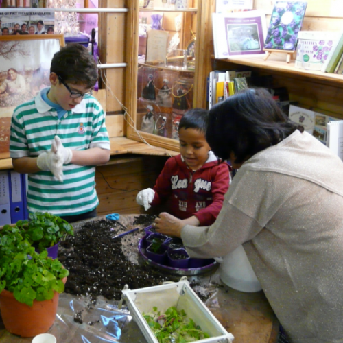 Maison de la Violette : ateliers enfants