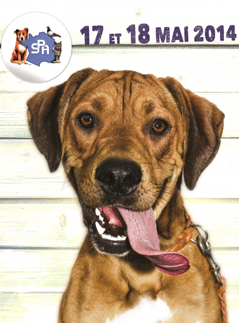 Journées Portes ouvertes SPA