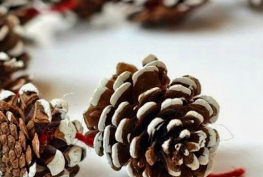 Les traditionnelles pommes de pin