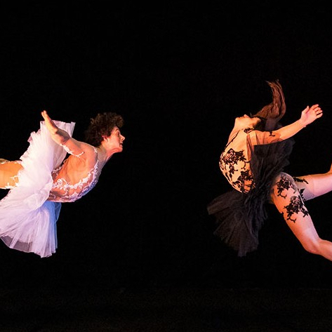 Les Enfants Terribles : "Lac des Cygnes"