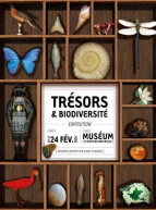 Expo Trésors & biodiversité au Muséum de Nantes