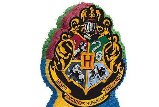 Fête Harry Potter - Piñata