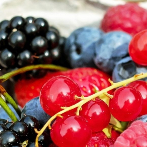 Salon des Gourmets des Lices 2019 à Rennes