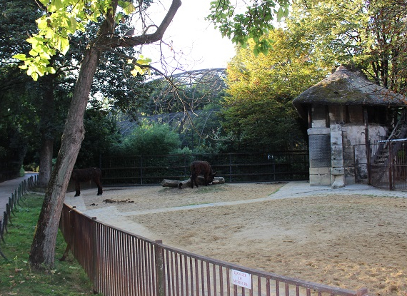 Muséum d'histoire naturelle - Ménagerie