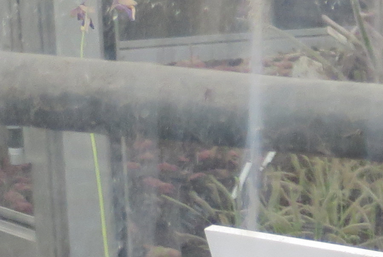 Pâques 2014 : une chasse atypique au Parc de la Tête d'Or avec Citizenkid