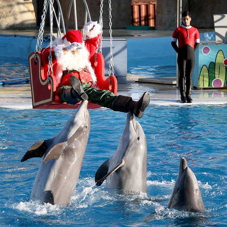 Noël à Marineland